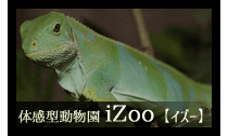 体感型動物園iZoo【イズー】